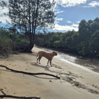 Photo of Atlas