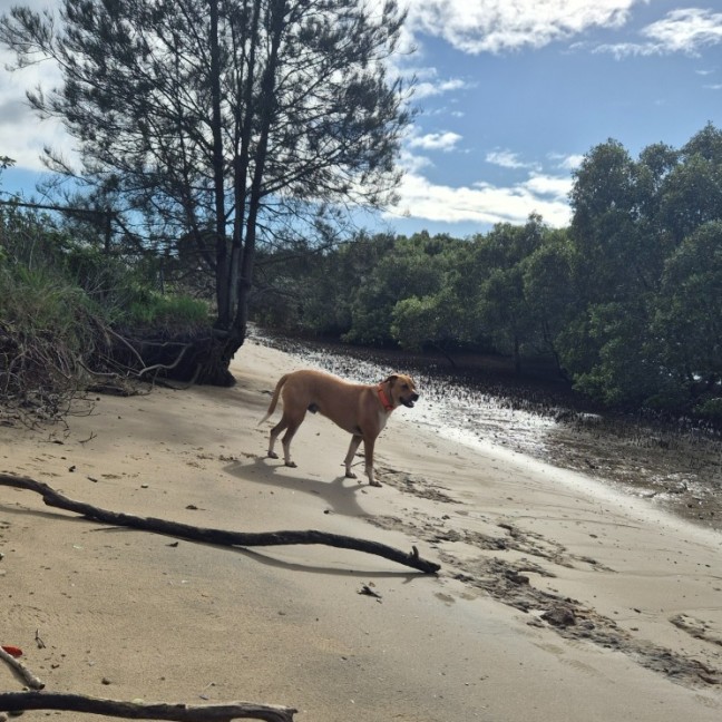 Photo of Atlas