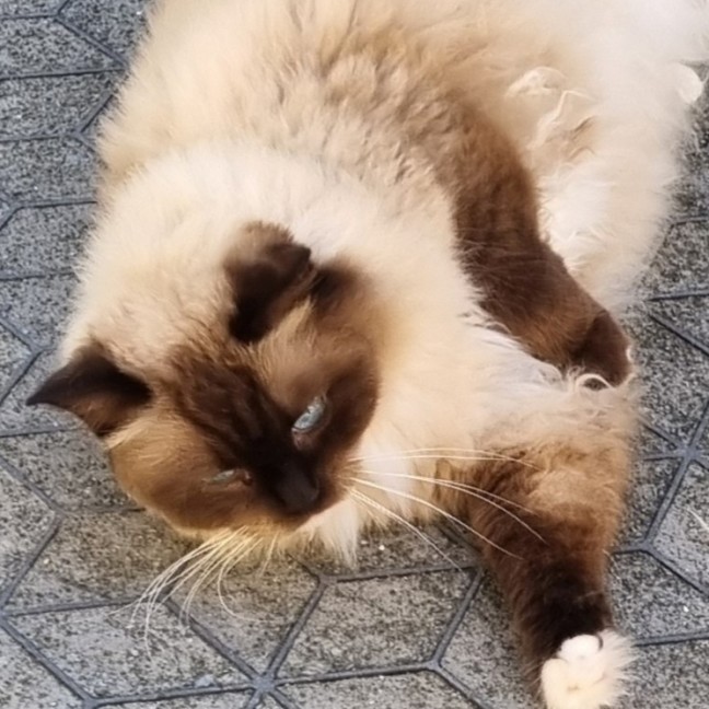Photo of Agatha