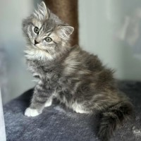 Photo of 🐠 Wanda 🐠