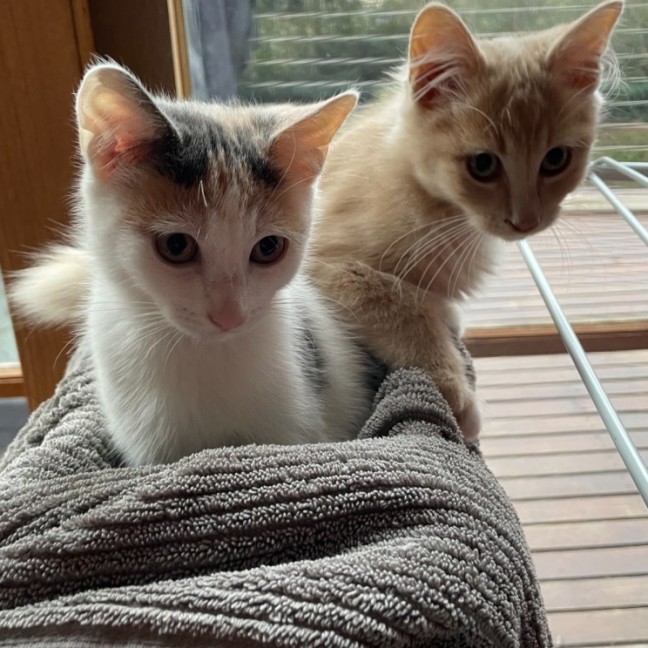 Photo of Margie 🌸🌸🌸