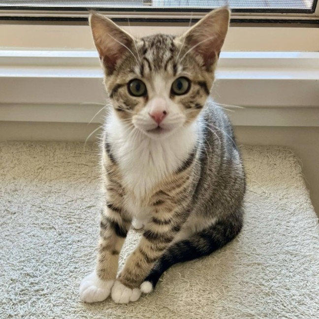 Photo of 😎 Simon 😎