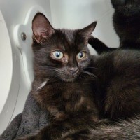 Photo of Melton Crew