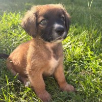 Photo of Rocket