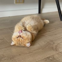 Photo of Alora