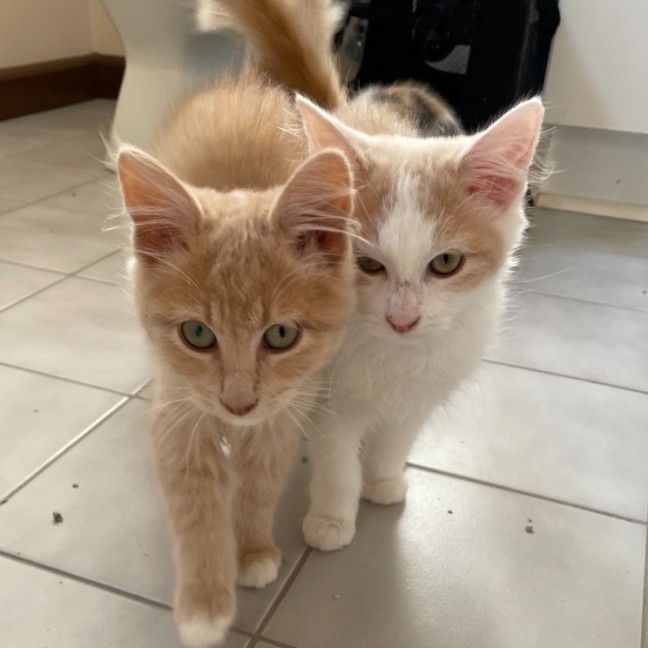 Photo of Trevor 💙