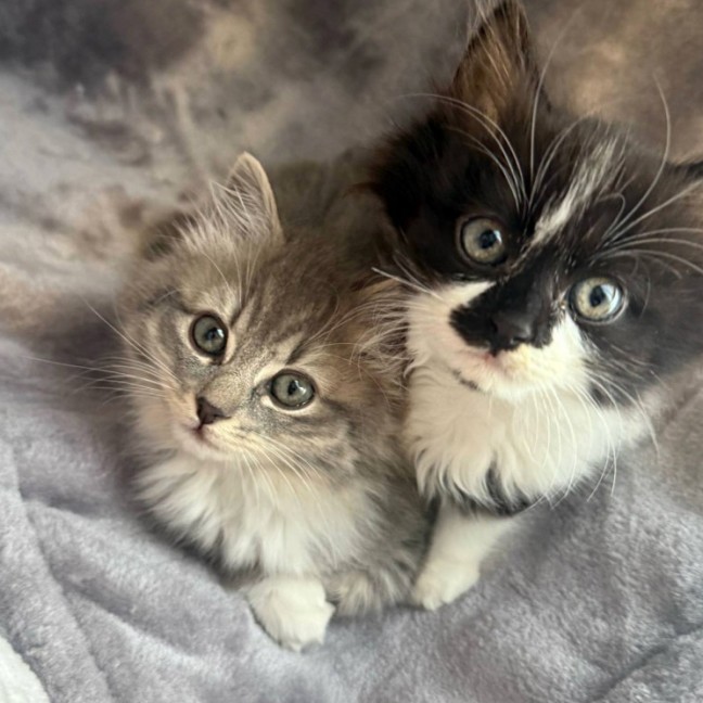 Photo of 🐠 Wanda 🐠