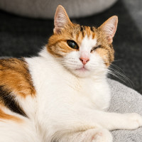 Photo of Mimi