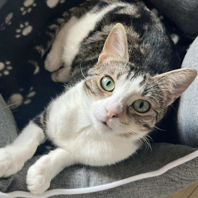 Photo of Penny & Cali💗