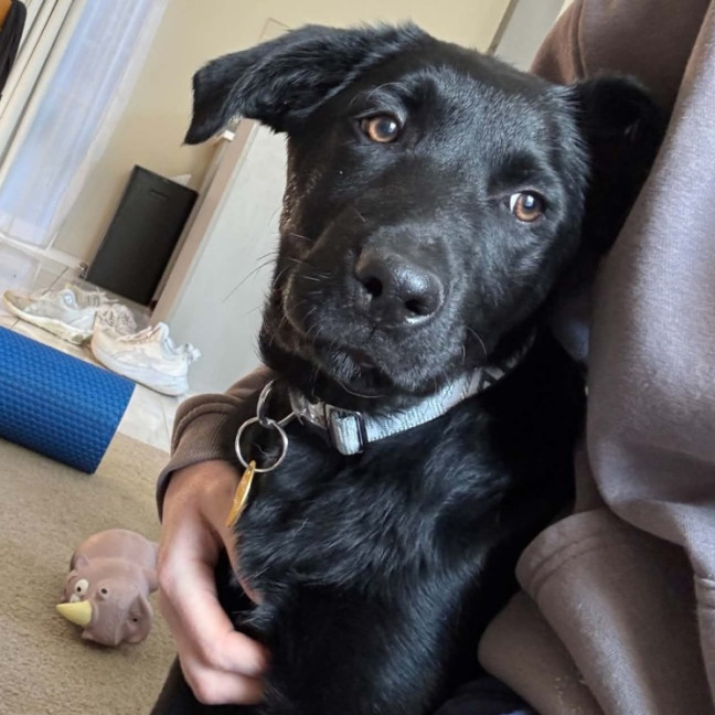 Photo of Sombr