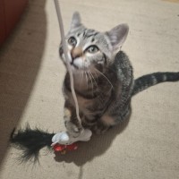 Photo of Esme