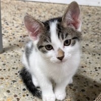 Photo of Polly