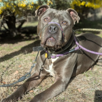 Photo of Zeus 