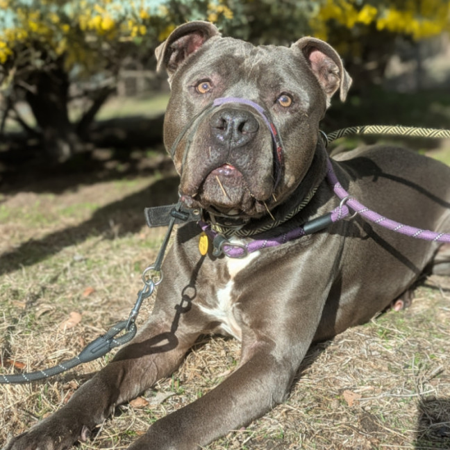 Photo of Zeus 