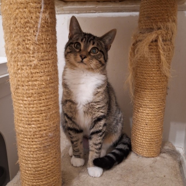 Photo of Promise