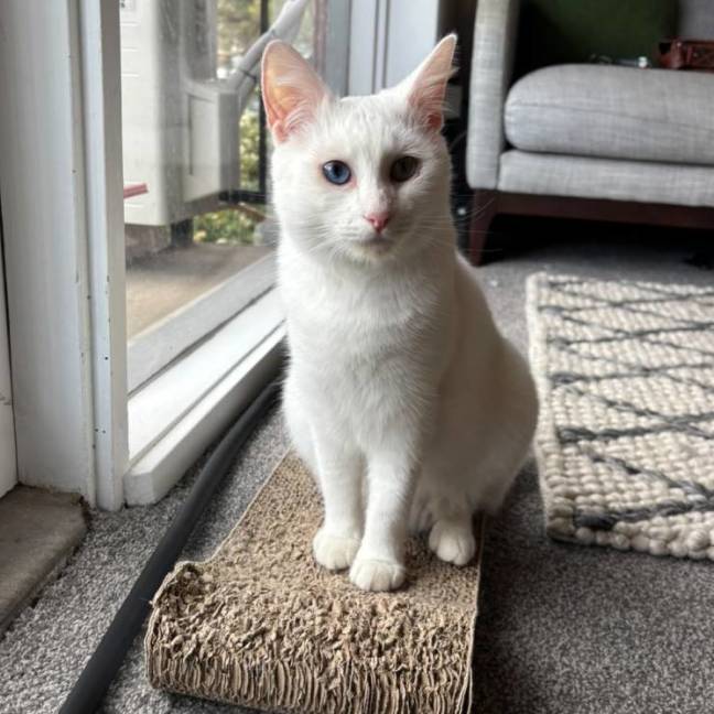 Photo of Cleopatra
