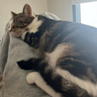 Photo of Penny & Cali💗