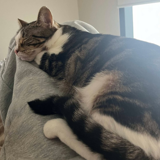 Photo of Penny & Cali💗