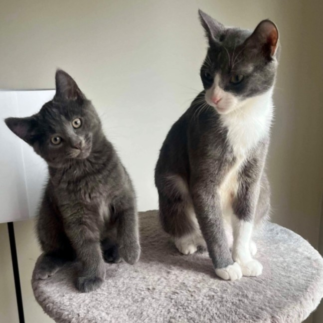 Photo of Ivy & Toothless 