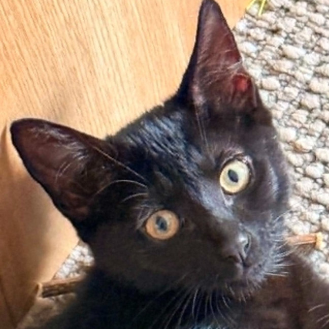Photo of Vonnie