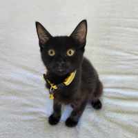 Photo of Edgar