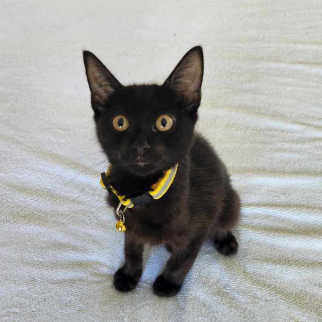 Photo of Edgar