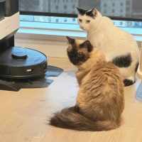 Photo of Nini & Ekko