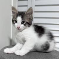 Photo of Pud