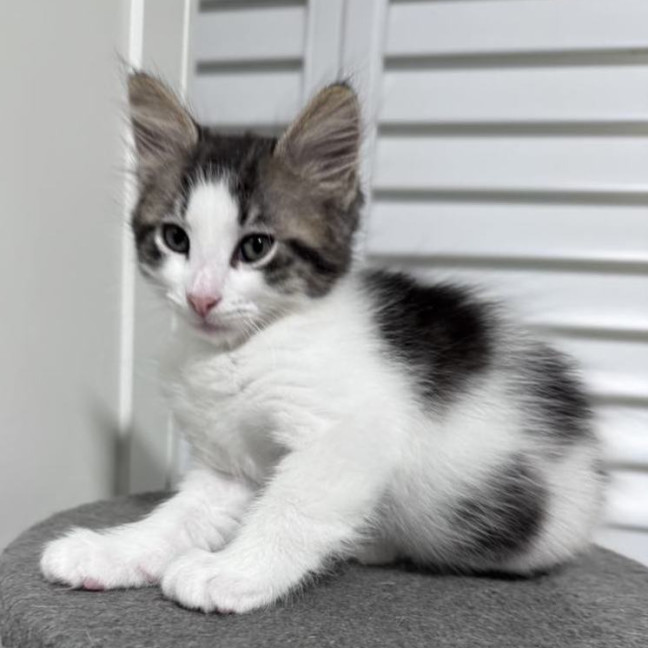 Photo of Pud