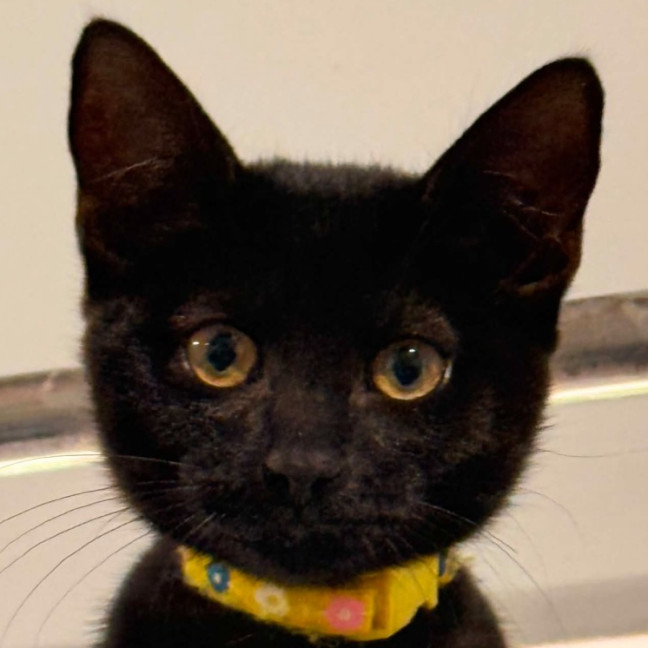 Photo of Vonnie