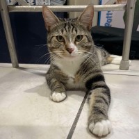 Photo of Cruze