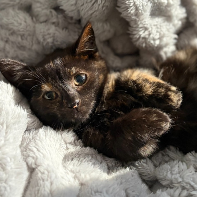 Photo of Willa