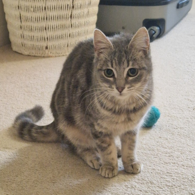 Photo of  Brixie Rue