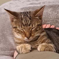 Photo of Ginge & Sprout