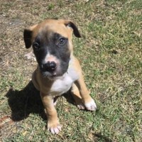 Photo of ⛰️ Coromandel's Litter (Part 2) ⛰️