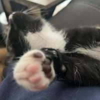 Photo of Max And Oliver