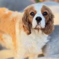 Photo of Ruth