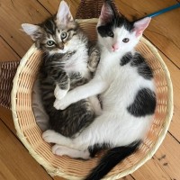 Photo of Pearl And Pirate 