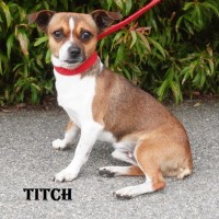 Photo of Titch