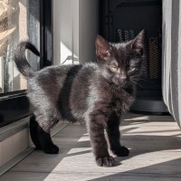 Photo of Charlie Bucket