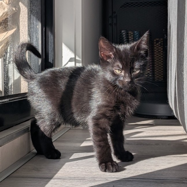 Photo of Charlie Bucket