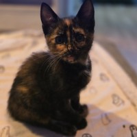 Photo of Bloom (Located In Wantirna South)