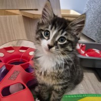 Photo of Casimir 💙