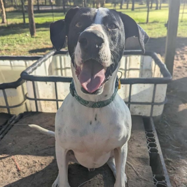 Photo of Gus
