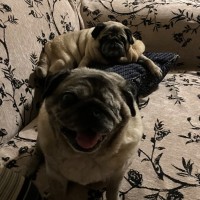 Photo of Essy