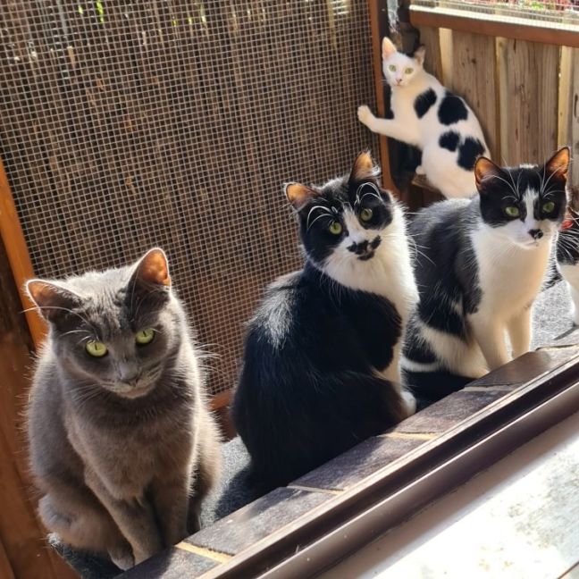 Photo of Felicia 🌹