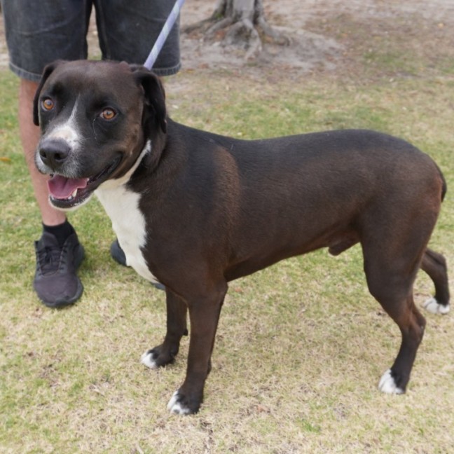 Photo of Cooper