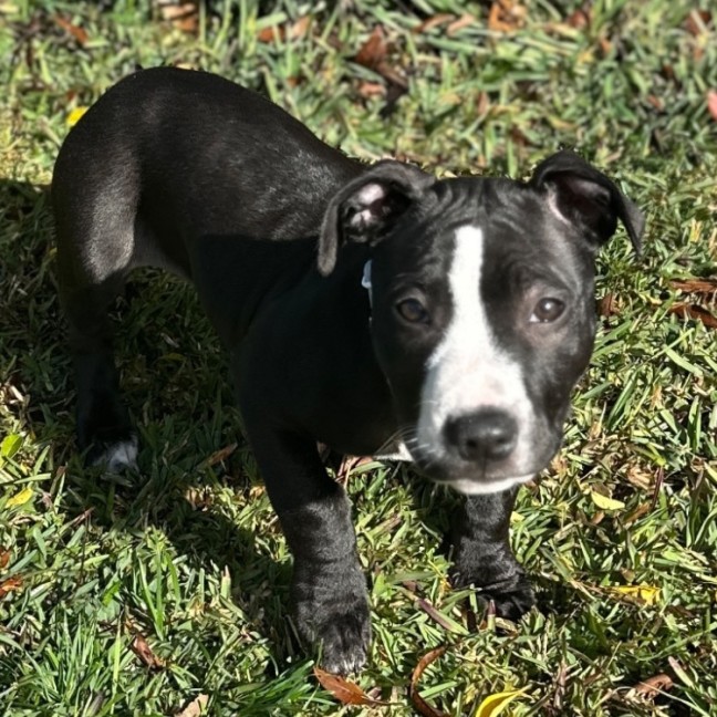 Photo of 🌼 Daisy 🌼 