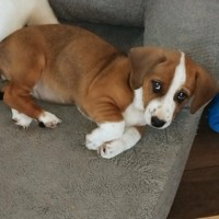 Photo of Audrey