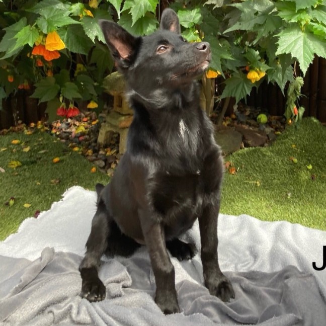 Photo of Jacky Weaver